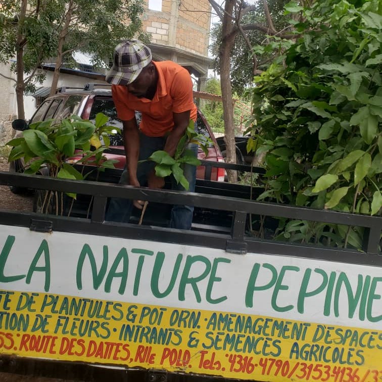 Photo of a man standing in a trailer full of large tree seedlings.