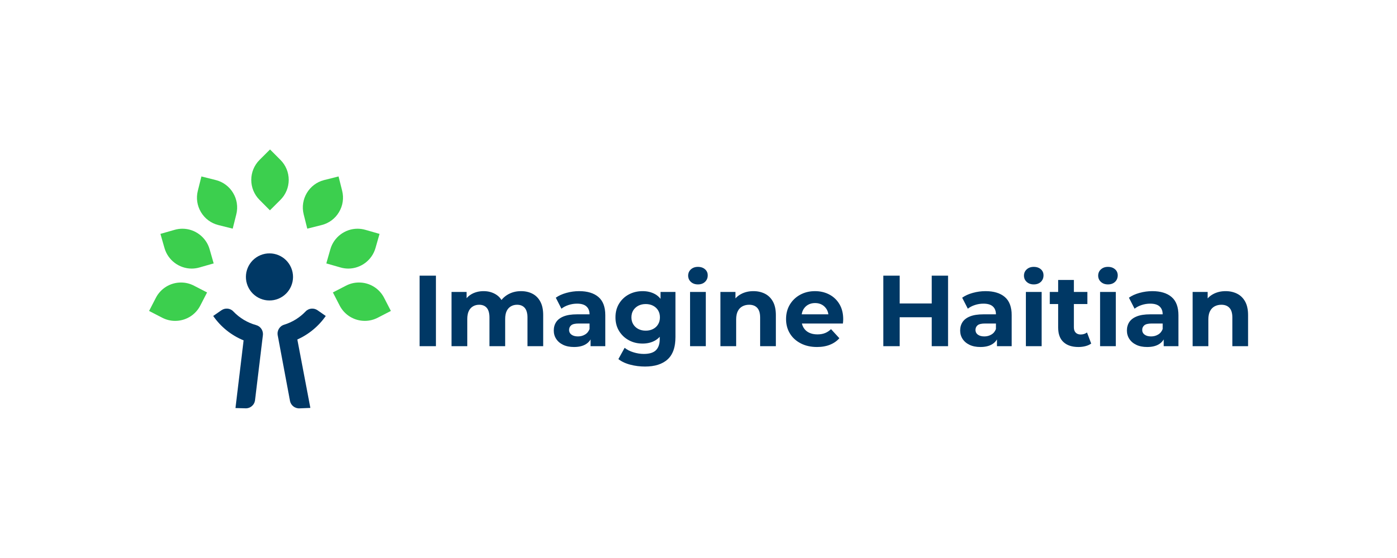 Imagine Haitian